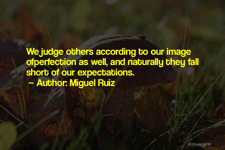 Miguel Ruiz Quotes: We Judge Others According To Our Image Ofperfection As Well, And Naturally They Fall Short Of Our Expectations.