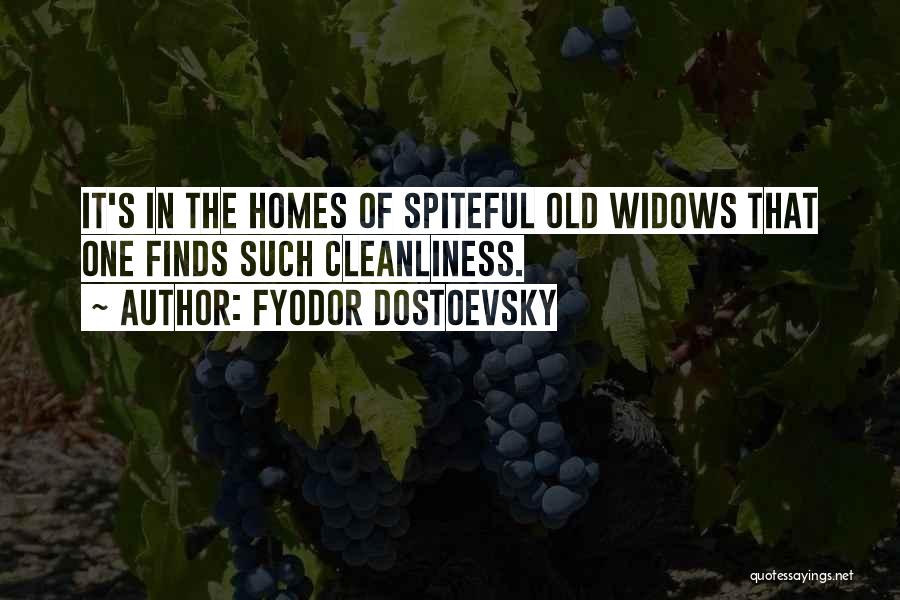 Fyodor Dostoevsky Quotes: It's In The Homes Of Spiteful Old Widows That One Finds Such Cleanliness.