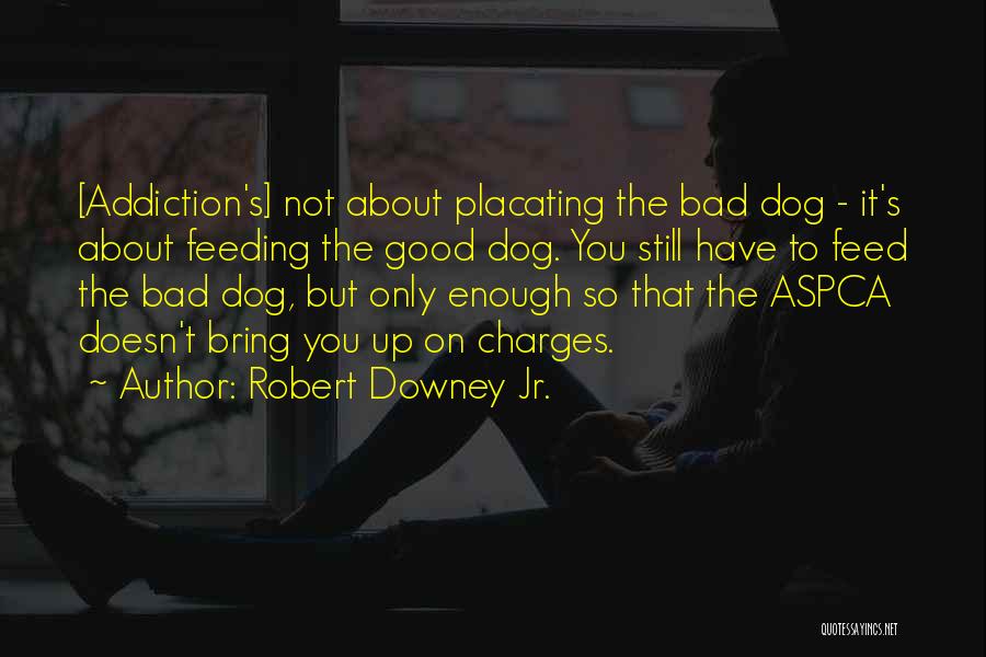 Robert Downey Jr. Quotes: [addiction's] Not About Placating The Bad Dog - It's About Feeding The Good Dog. You Still Have To Feed The