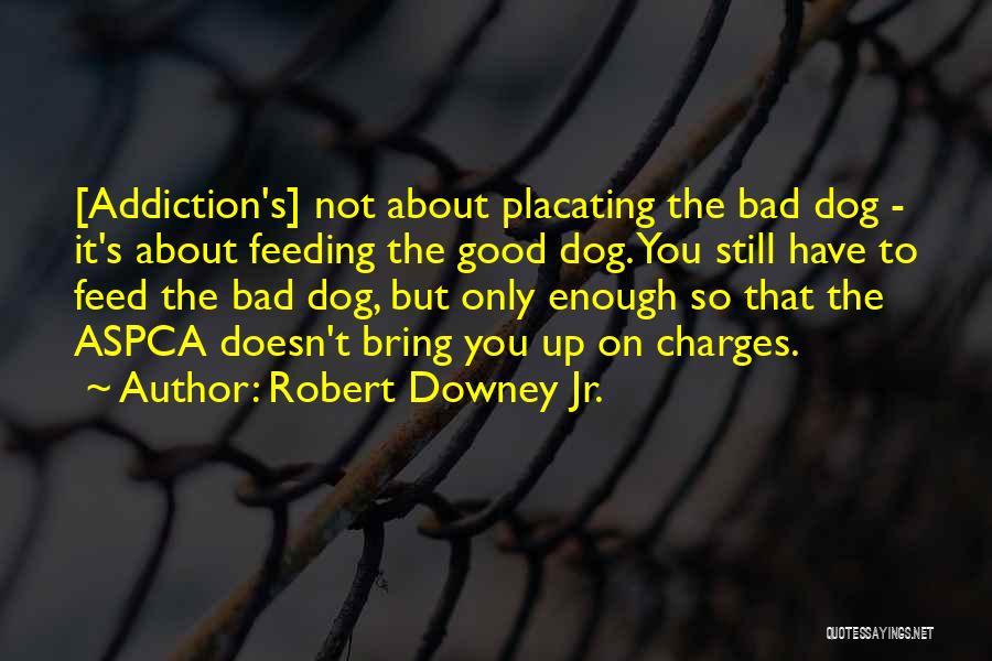 Robert Downey Jr. Quotes: [addiction's] Not About Placating The Bad Dog - It's About Feeding The Good Dog. You Still Have To Feed The