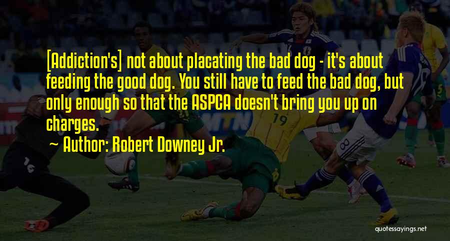 Robert Downey Jr. Quotes: [addiction's] Not About Placating The Bad Dog - It's About Feeding The Good Dog. You Still Have To Feed The