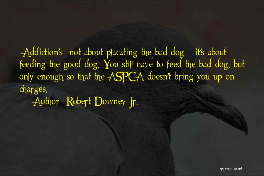 Robert Downey Jr. Quotes: [addiction's] Not About Placating The Bad Dog - It's About Feeding The Good Dog. You Still Have To Feed The