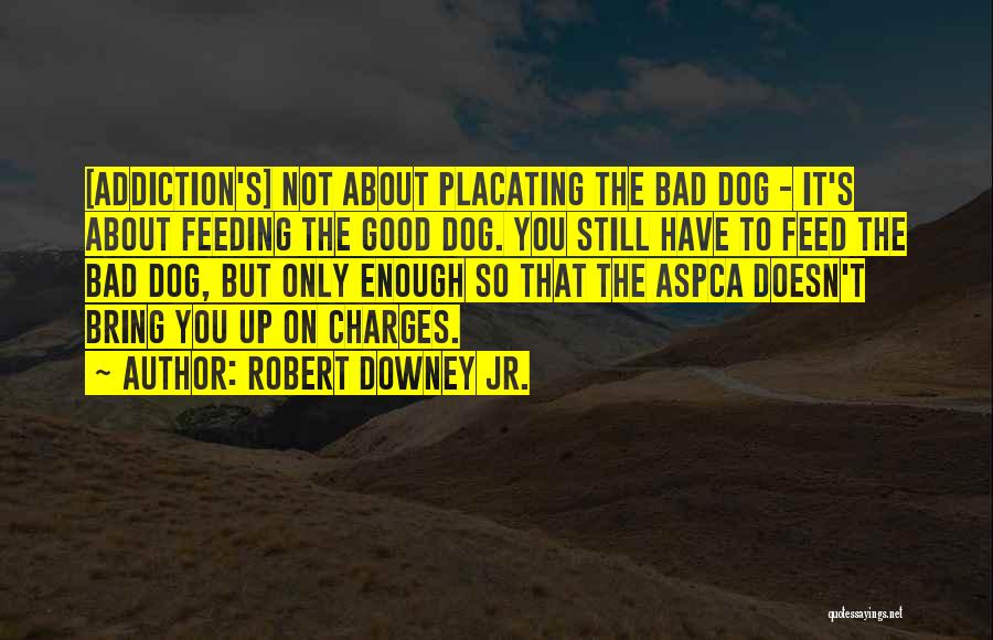 Robert Downey Jr. Quotes: [addiction's] Not About Placating The Bad Dog - It's About Feeding The Good Dog. You Still Have To Feed The