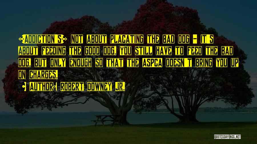 Robert Downey Jr. Quotes: [addiction's] Not About Placating The Bad Dog - It's About Feeding The Good Dog. You Still Have To Feed The