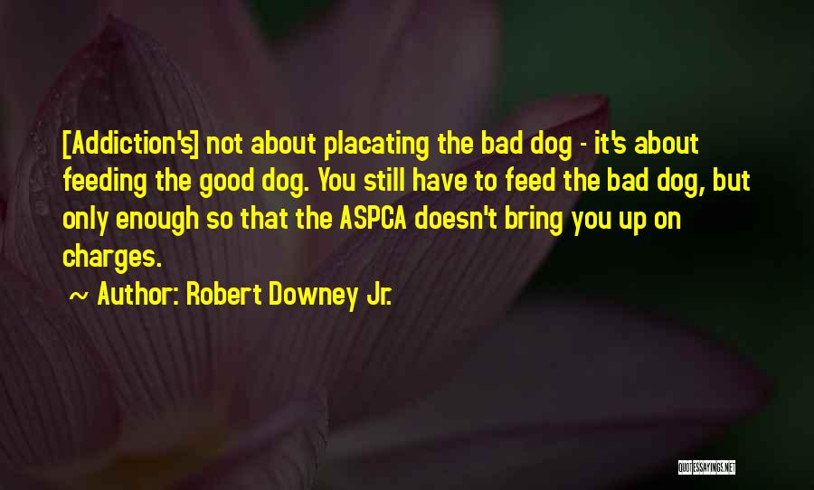 Robert Downey Jr. Quotes: [addiction's] Not About Placating The Bad Dog - It's About Feeding The Good Dog. You Still Have To Feed The