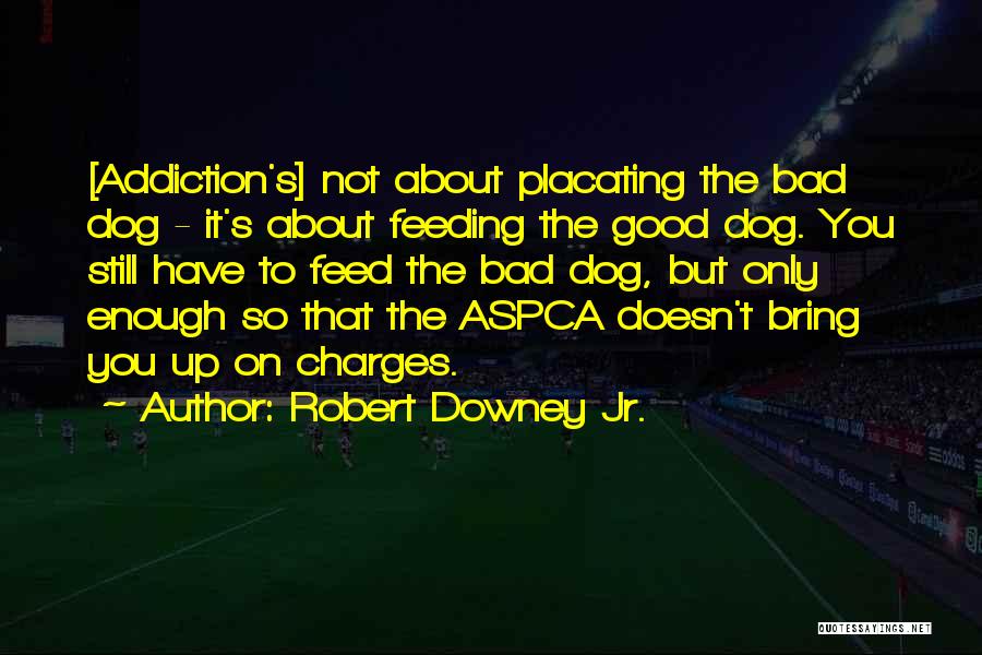 Robert Downey Jr. Quotes: [addiction's] Not About Placating The Bad Dog - It's About Feeding The Good Dog. You Still Have To Feed The