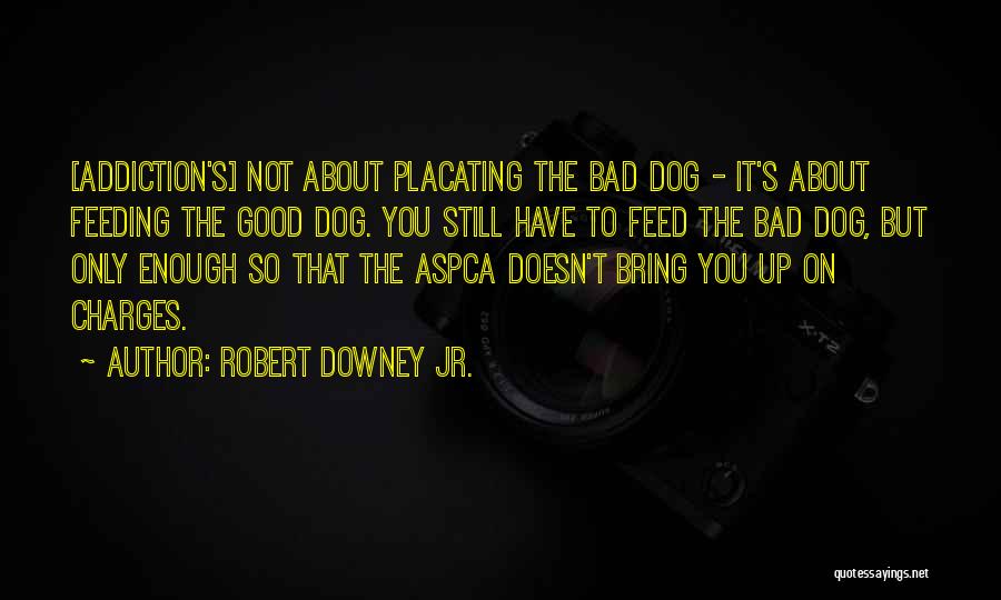 Robert Downey Jr. Quotes: [addiction's] Not About Placating The Bad Dog - It's About Feeding The Good Dog. You Still Have To Feed The