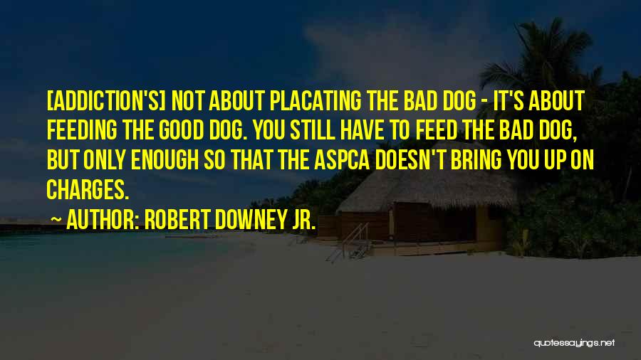 Robert Downey Jr. Quotes: [addiction's] Not About Placating The Bad Dog - It's About Feeding The Good Dog. You Still Have To Feed The