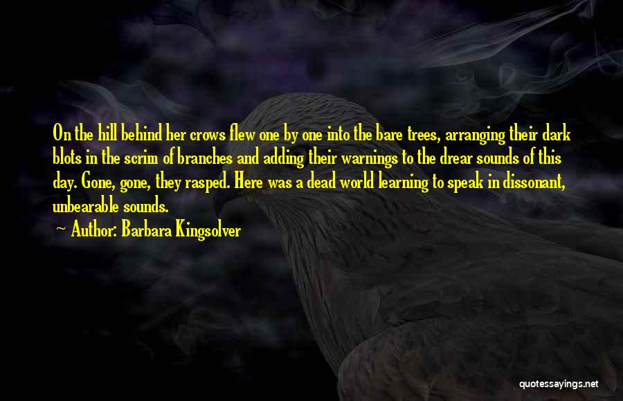 Barbara Kingsolver Quotes: On The Hill Behind Her Crows Flew One By One Into The Bare Trees, Arranging Their Dark Blots In The