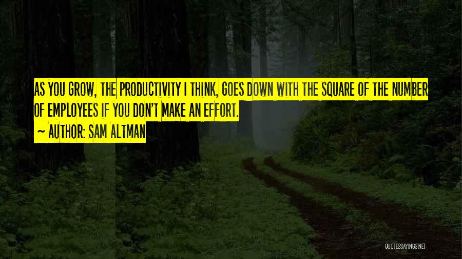 Sam Altman Quotes: As You Grow, The Productivity I Think, Goes Down With The Square Of The Number Of Employees If You Don't