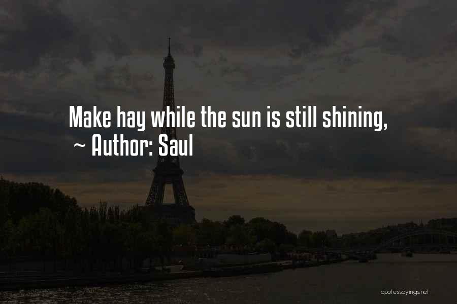 Saul Quotes: Make Hay While The Sun Is Still Shining,