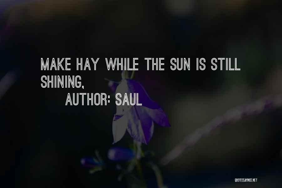Saul Quotes: Make Hay While The Sun Is Still Shining,