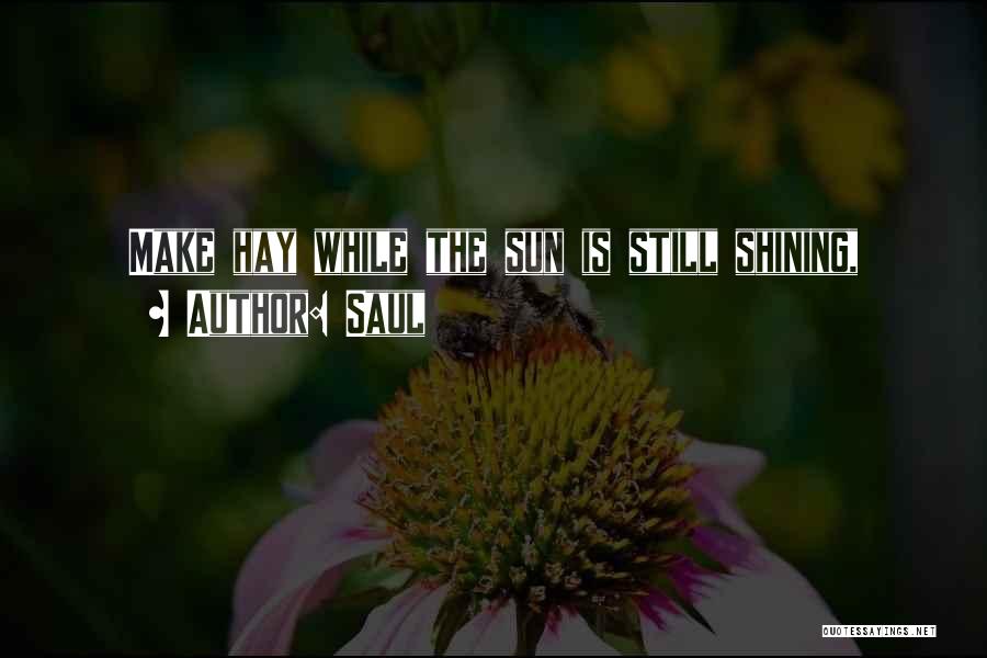 Saul Quotes: Make Hay While The Sun Is Still Shining,