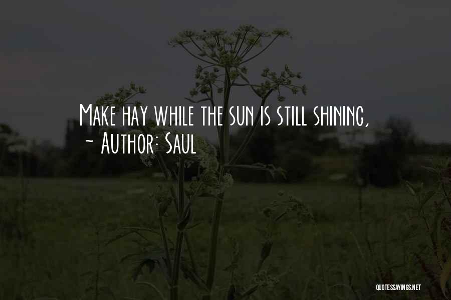 Saul Quotes: Make Hay While The Sun Is Still Shining,