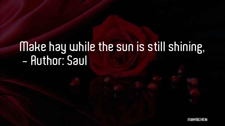 Saul Quotes: Make Hay While The Sun Is Still Shining,