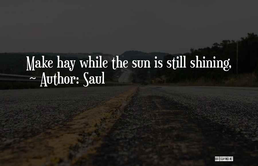 Saul Quotes: Make Hay While The Sun Is Still Shining,