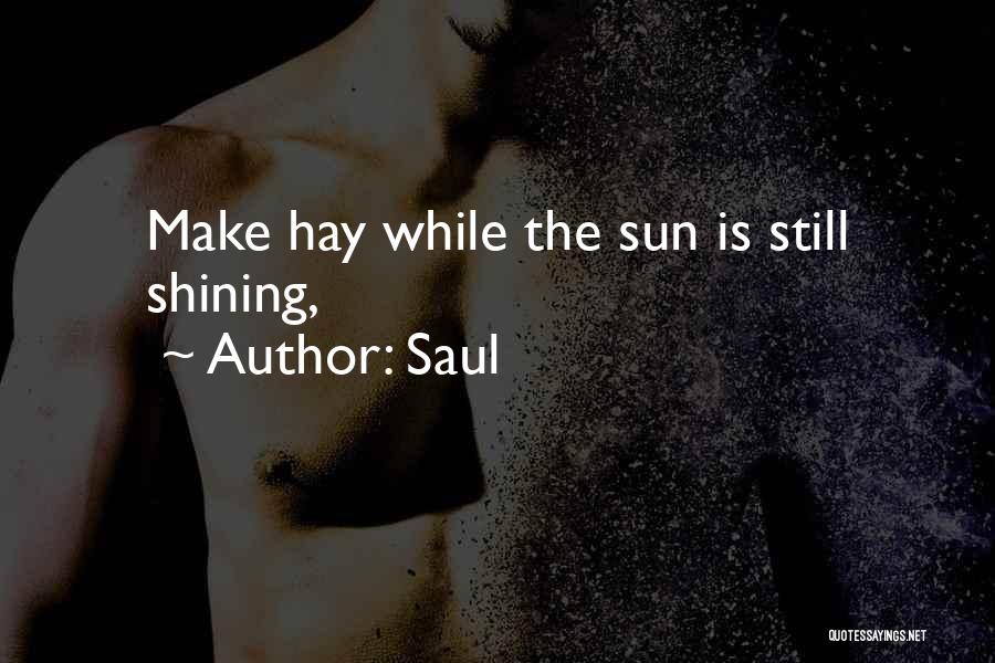 Saul Quotes: Make Hay While The Sun Is Still Shining,