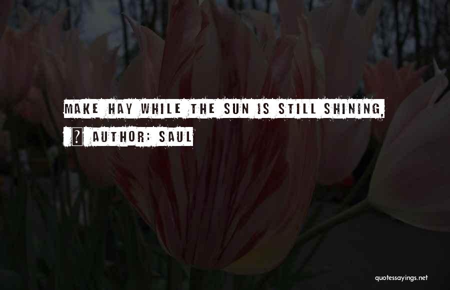 Saul Quotes: Make Hay While The Sun Is Still Shining,