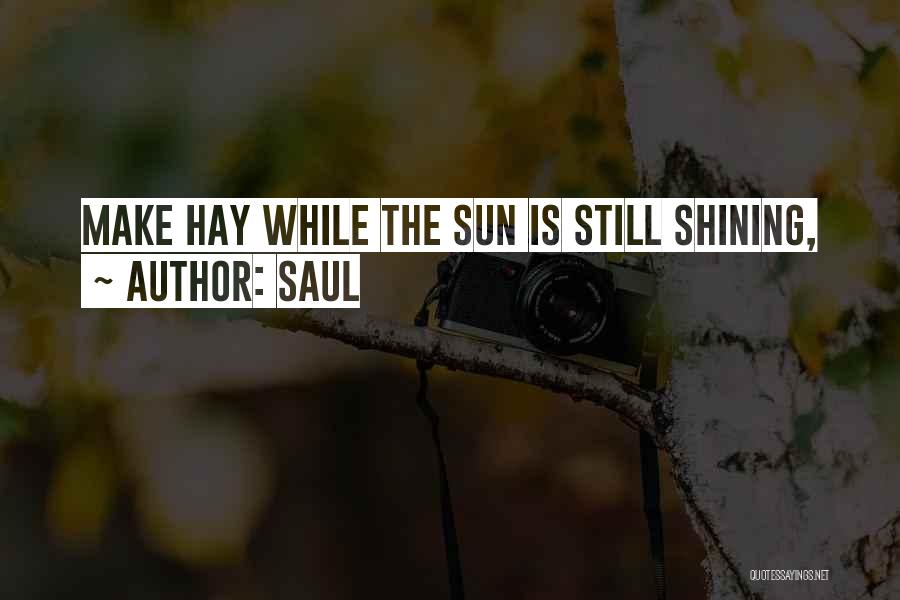 Saul Quotes: Make Hay While The Sun Is Still Shining,