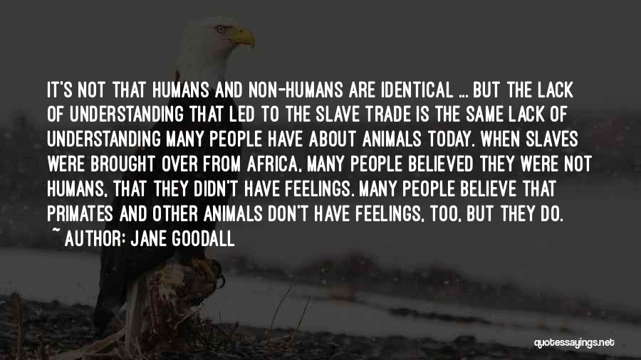 Jane Goodall Quotes: It's Not That Humans And Non-humans Are Identical ... But The Lack Of Understanding That Led To The Slave Trade