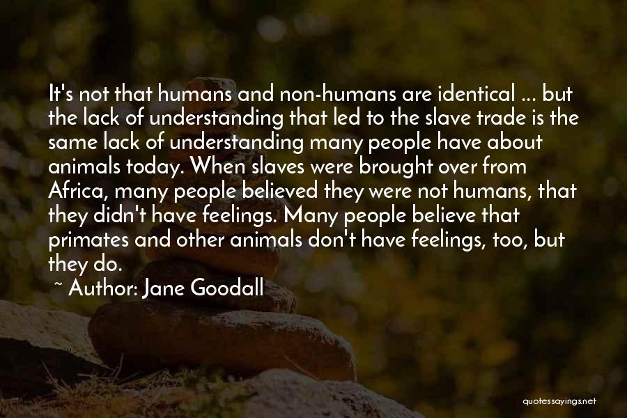 Jane Goodall Quotes: It's Not That Humans And Non-humans Are Identical ... But The Lack Of Understanding That Led To The Slave Trade