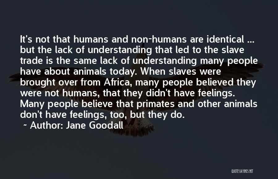 Jane Goodall Quotes: It's Not That Humans And Non-humans Are Identical ... But The Lack Of Understanding That Led To The Slave Trade