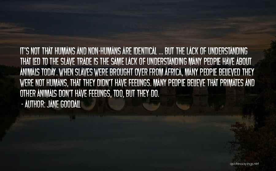 Jane Goodall Quotes: It's Not That Humans And Non-humans Are Identical ... But The Lack Of Understanding That Led To The Slave Trade