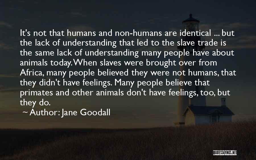 Jane Goodall Quotes: It's Not That Humans And Non-humans Are Identical ... But The Lack Of Understanding That Led To The Slave Trade