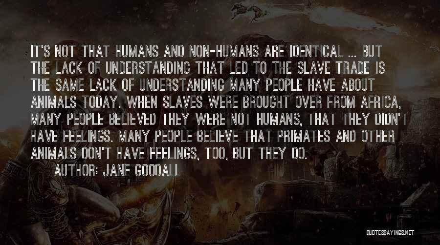 Jane Goodall Quotes: It's Not That Humans And Non-humans Are Identical ... But The Lack Of Understanding That Led To The Slave Trade