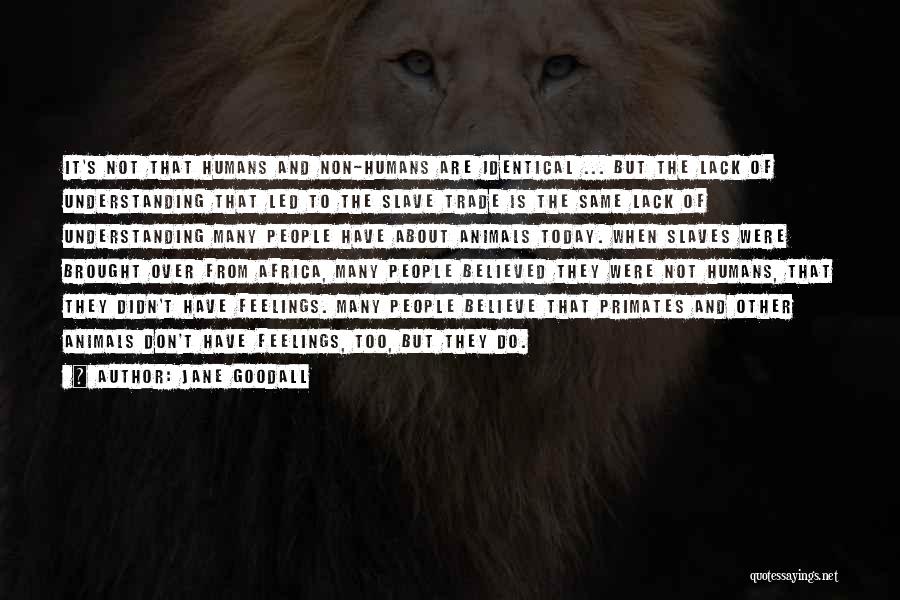 Jane Goodall Quotes: It's Not That Humans And Non-humans Are Identical ... But The Lack Of Understanding That Led To The Slave Trade