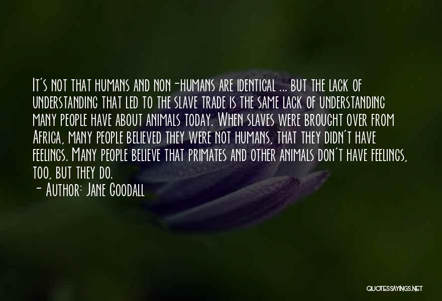 Jane Goodall Quotes: It's Not That Humans And Non-humans Are Identical ... But The Lack Of Understanding That Led To The Slave Trade