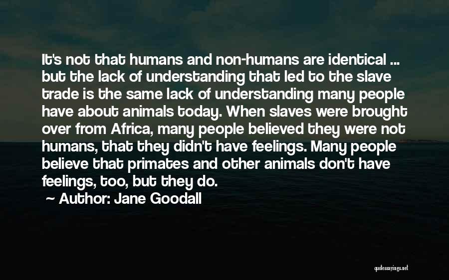 Jane Goodall Quotes: It's Not That Humans And Non-humans Are Identical ... But The Lack Of Understanding That Led To The Slave Trade