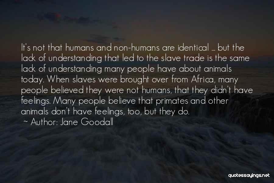 Jane Goodall Quotes: It's Not That Humans And Non-humans Are Identical ... But The Lack Of Understanding That Led To The Slave Trade