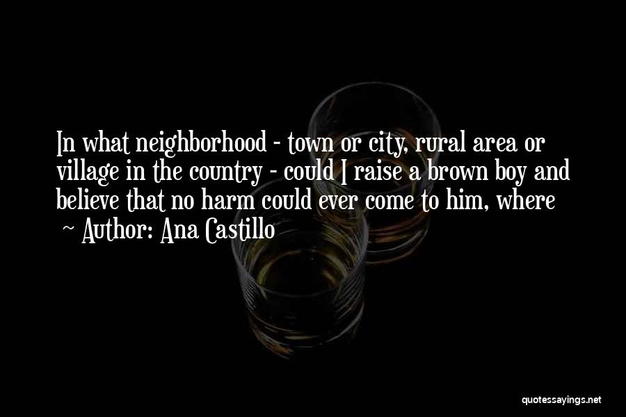 Ana Castillo Quotes: In What Neighborhood - Town Or City, Rural Area Or Village In The Country - Could I Raise A Brown