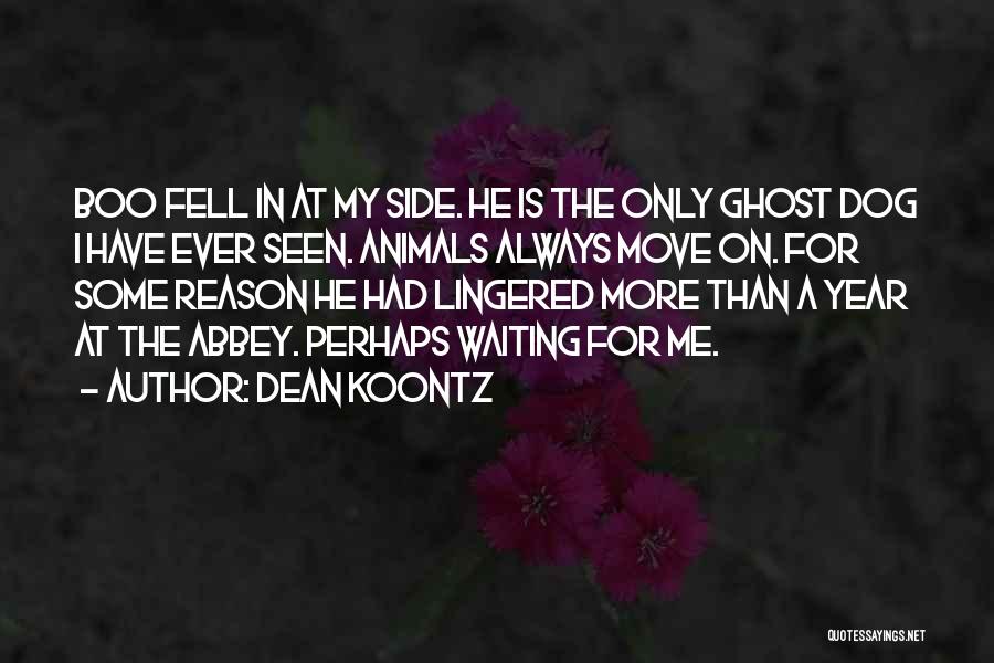 Dean Koontz Quotes: Boo Fell In At My Side. He Is The Only Ghost Dog I Have Ever Seen. Animals Always Move On.