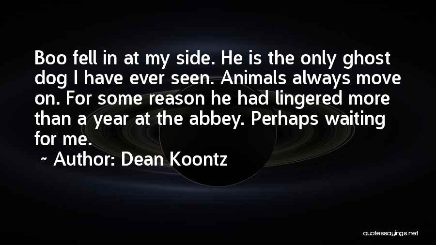 Dean Koontz Quotes: Boo Fell In At My Side. He Is The Only Ghost Dog I Have Ever Seen. Animals Always Move On.