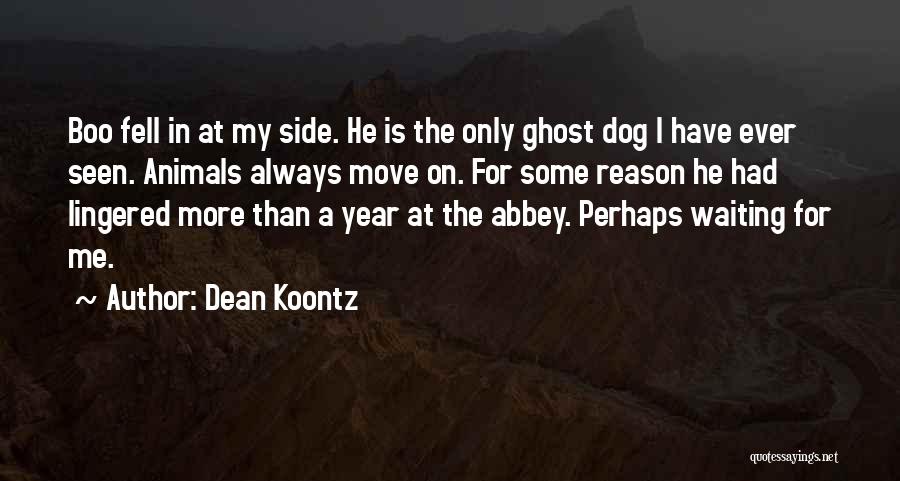 Dean Koontz Quotes: Boo Fell In At My Side. He Is The Only Ghost Dog I Have Ever Seen. Animals Always Move On.