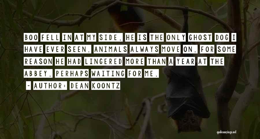 Dean Koontz Quotes: Boo Fell In At My Side. He Is The Only Ghost Dog I Have Ever Seen. Animals Always Move On.