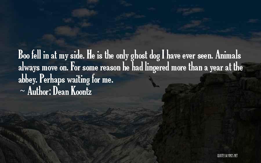 Dean Koontz Quotes: Boo Fell In At My Side. He Is The Only Ghost Dog I Have Ever Seen. Animals Always Move On.