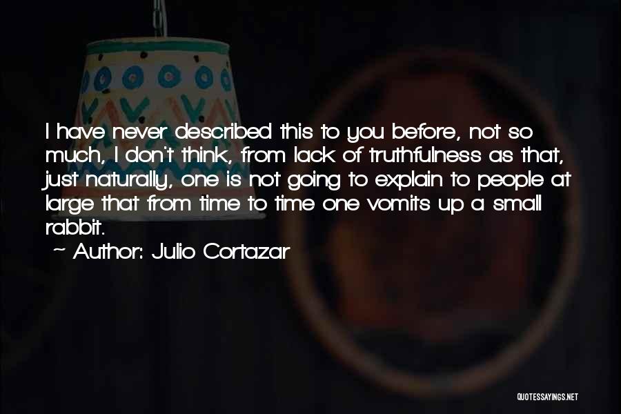 Julio Cortazar Quotes: I Have Never Described This To You Before, Not So Much, I Don't Think, From Lack Of Truthfulness As That,