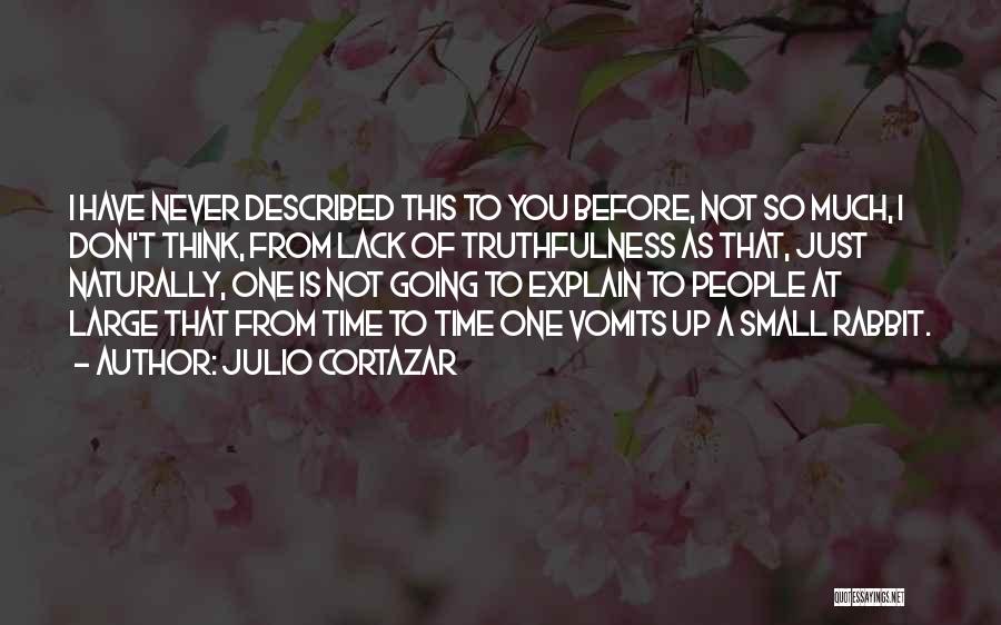 Julio Cortazar Quotes: I Have Never Described This To You Before, Not So Much, I Don't Think, From Lack Of Truthfulness As That,