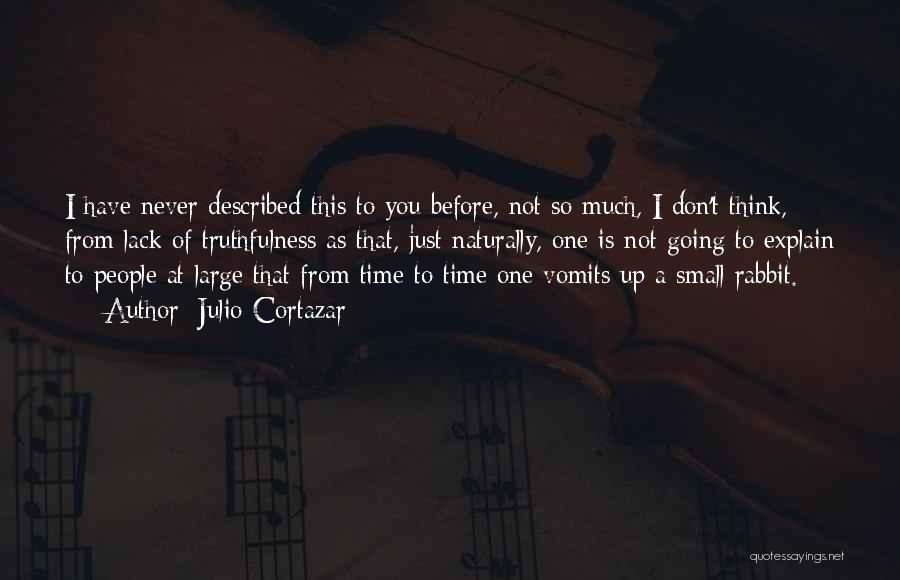 Julio Cortazar Quotes: I Have Never Described This To You Before, Not So Much, I Don't Think, From Lack Of Truthfulness As That,