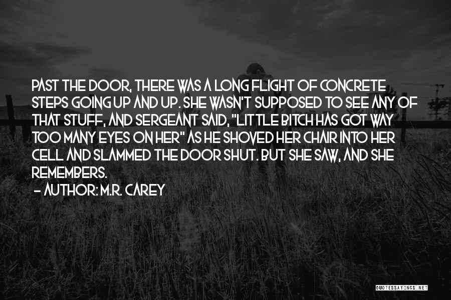 M.R. Carey Quotes: Past The Door, There Was A Long Flight Of Concrete Steps Going Up And Up. She Wasn't Supposed To See