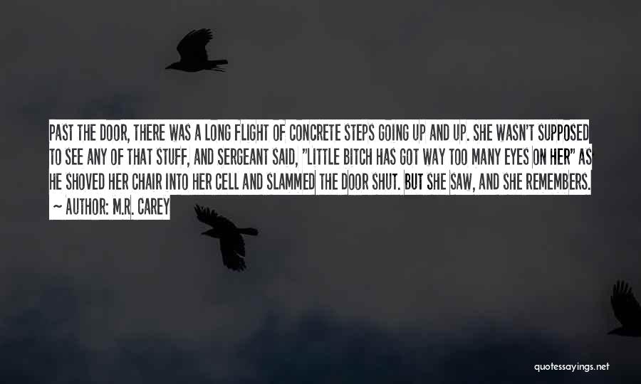 M.R. Carey Quotes: Past The Door, There Was A Long Flight Of Concrete Steps Going Up And Up. She Wasn't Supposed To See