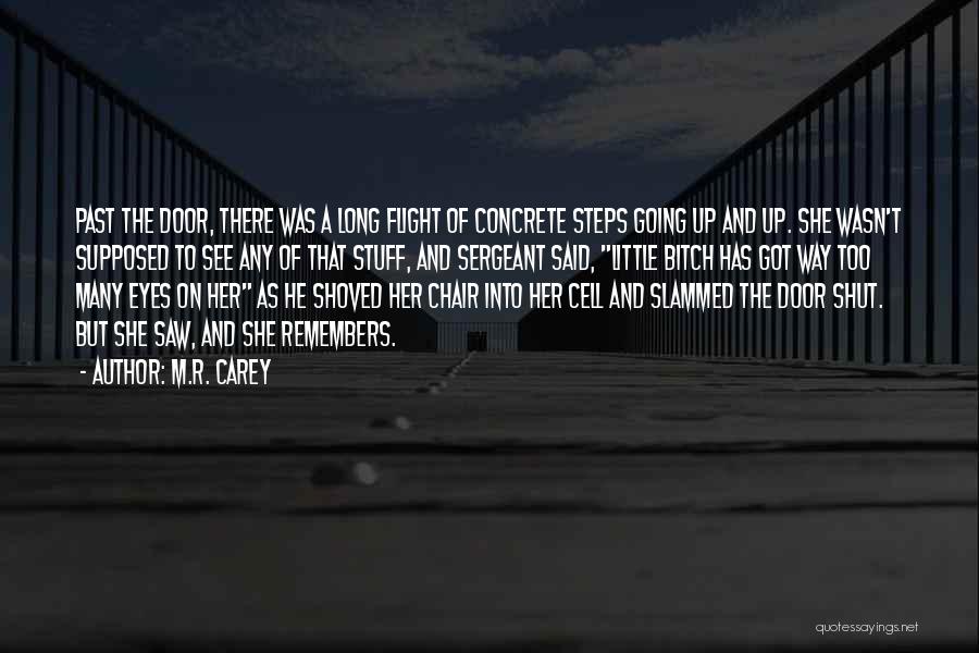 M.R. Carey Quotes: Past The Door, There Was A Long Flight Of Concrete Steps Going Up And Up. She Wasn't Supposed To See