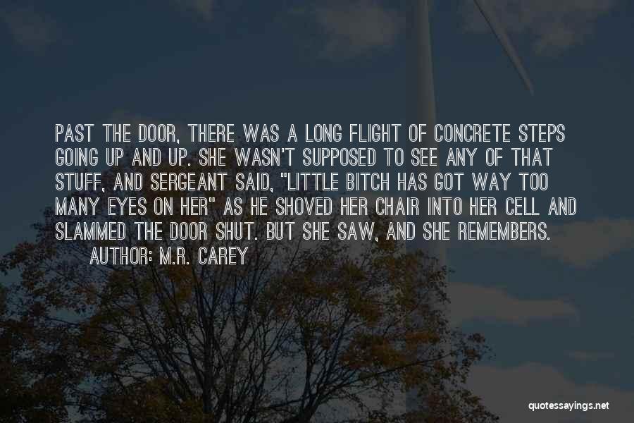 M.R. Carey Quotes: Past The Door, There Was A Long Flight Of Concrete Steps Going Up And Up. She Wasn't Supposed To See
