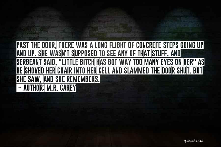 M.R. Carey Quotes: Past The Door, There Was A Long Flight Of Concrete Steps Going Up And Up. She Wasn't Supposed To See