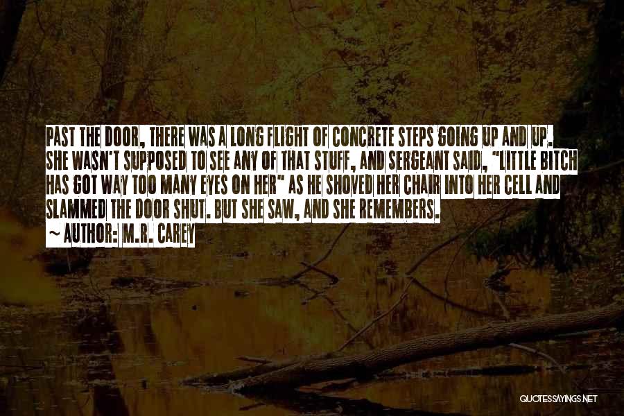 M.R. Carey Quotes: Past The Door, There Was A Long Flight Of Concrete Steps Going Up And Up. She Wasn't Supposed To See