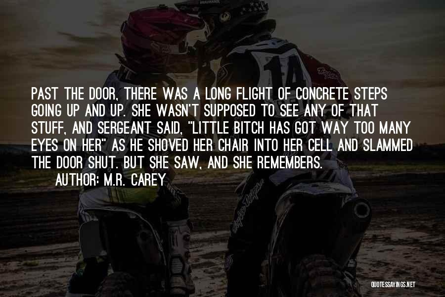 M.R. Carey Quotes: Past The Door, There Was A Long Flight Of Concrete Steps Going Up And Up. She Wasn't Supposed To See