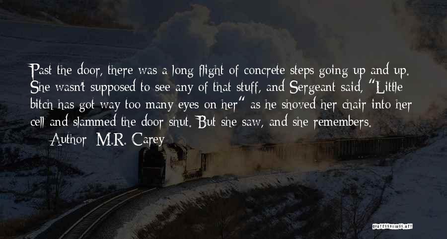 M.R. Carey Quotes: Past The Door, There Was A Long Flight Of Concrete Steps Going Up And Up. She Wasn't Supposed To See